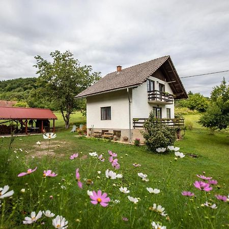 Holiday House On The Riverside Ogulin Dış mekan fotoğraf